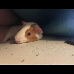 Meet your Posher, Mariah